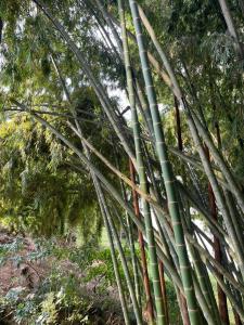 Apartamento Entero 102