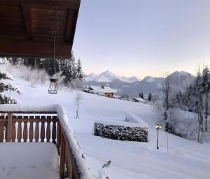 Chalets Chalet L'oreade : photos des chambres