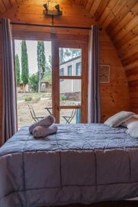 Campings Youcamp Village - Marseille Provence : photos des chambres
