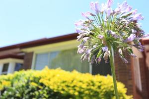 Sydney, Bexley North holiday home 3bedrooms, free parking, close to Train station and CBD