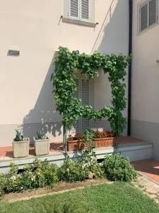 La Casina di Renzino - 维西奥玛吉欧