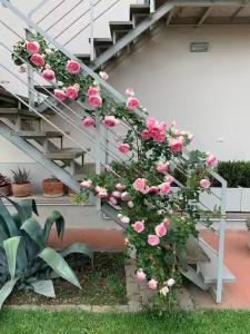 La Casina di Renzino