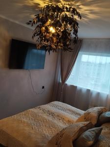 Kitse 26 Apartment- FREE PARKING