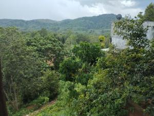 Bogala Village Eco Resort
