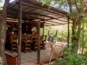 Shik Shack Backpackers