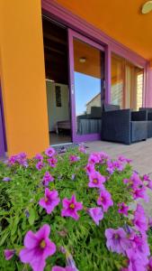 Limbara dreaming img19