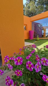 Limbara dreaming img27