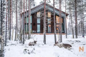 Nordic Cottage (Double Bed) room in Nova Skyland Hotel