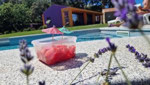 Limbara dreaming img46