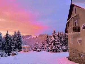 Cabana Zuz - 彼得罗沙尼