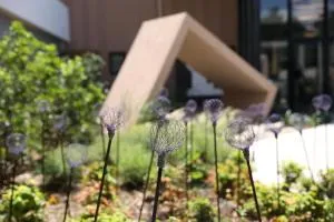 Le Néliö - La Mérindolle