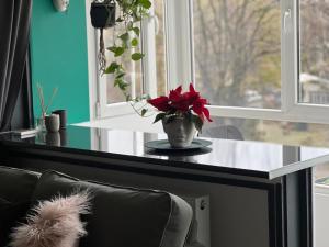 Cosy studio Floreasca