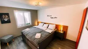 Swiss House with Mountain Views - Willigen