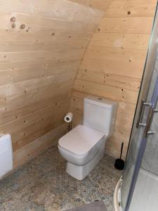 Executive Pod and Jacuzzi