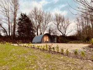 Executive Pod and Jacuzzi