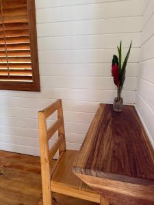 Dolphin Blue Paradise