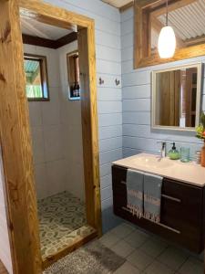 Dolphin Blue Paradise