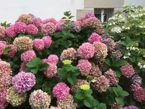 Kerellouan Family house 8 near Beach Cap Frehel - Plurien