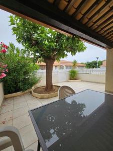 PERLES DU SOLEIL Jolie villa T2 mezzanine piscine Rochelongue Cap dAgde