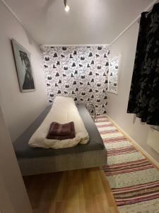 In the heart of the Northern Lights