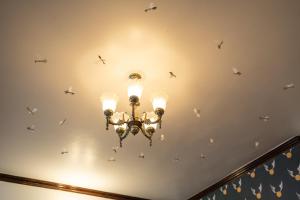 Wizards Den-Harry Potter inspired 3BHK in Mashobra