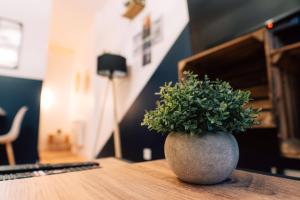 Appartements Evasion romantique & spa : photos des chambres