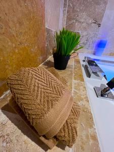 Appartements Evasion romantique & spa : photos des chambres