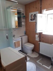 Cottage Stela Bohinj 