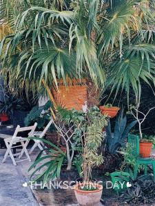 Tu Casa en el Caribe