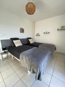 Appartements Les terrasses des myosotis : photos des chambres