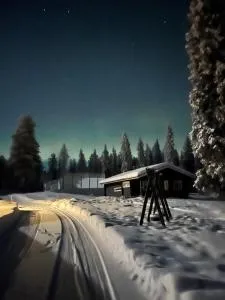 Villa Moinalahti - 佩洛