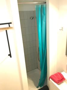 Appartements LE CASTEL LILY - Calme - Face aux Parcs - Immeuble de caractere : photos des chambres