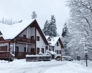 Bieszczadzki Dworek Polanczyk
