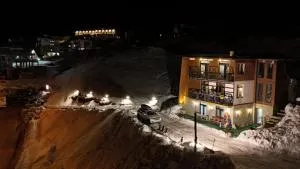 Mountain Dream House - Borgnisi