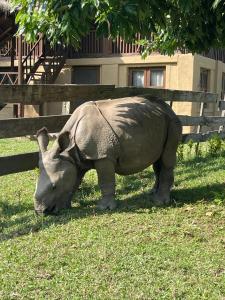 Tara guesthouse - Sauraha,Chitwan