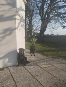 Villa Ca Bruna Holiday House