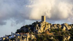 Casa Bouganville img22