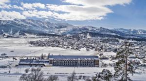 Bakuriani Panorama N14