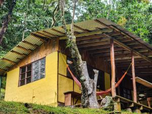 Cloudbridge Nature Reserve