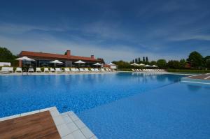 Golf Club - Home Immobilare