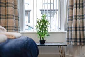 New! Stylish 4BR in St Johns