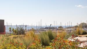 ALIZES BLEUS DE THAU 5 étoiles