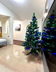 Modern Comfort In The Centre Of Riga!