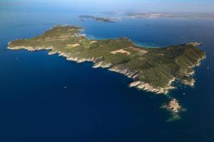 Villas Villa Cosy pour 6 personnes avec piscine privee et vue panoramique sur les iles et les collines a La Londe les Maures : photos des chambres
