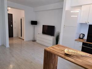 Luxury Studio Pipera