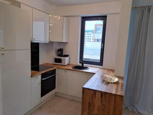 Luxury Studio Pipera