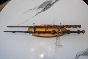 Wizards Den-Harry Potter inspired 3BHK in Mashobra