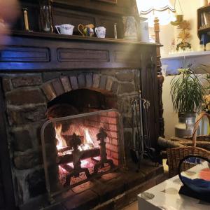 Maisons d'hotes Le Vieux Logis : photos des chambres