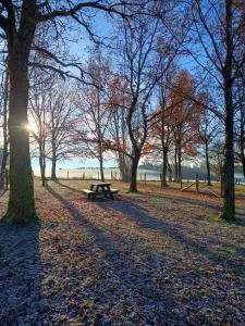Maison des Fées d'Achouffe - Dinez