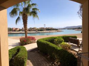 one bedroom ground floor sabina elgouna